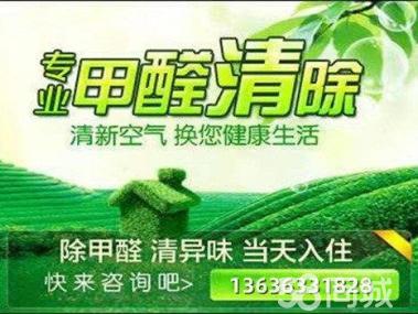 母嬰甲醛治理服務工裝家裝除甲醛工廠,空氣凈化提供甲醛檢測、汽車除醛、甲醛治理/除甲醛服務